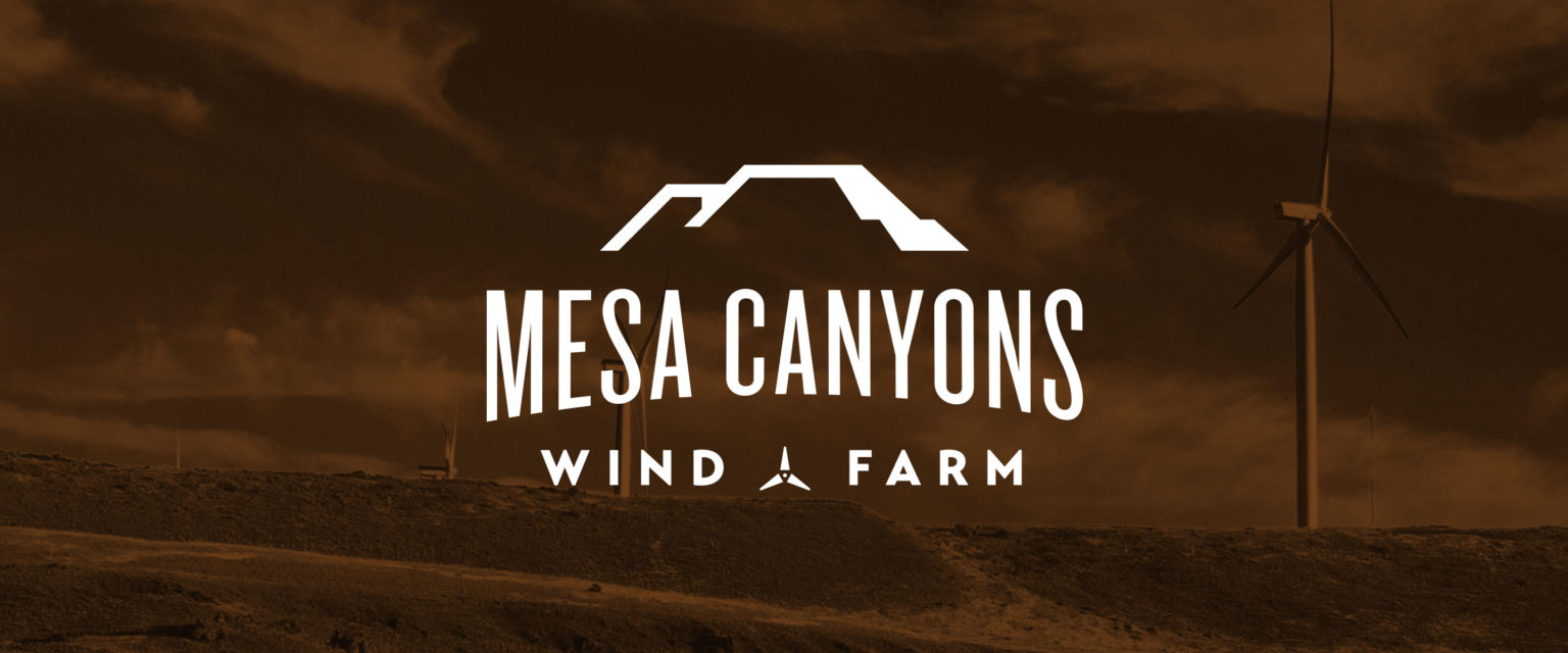 Mesa Canyons banner